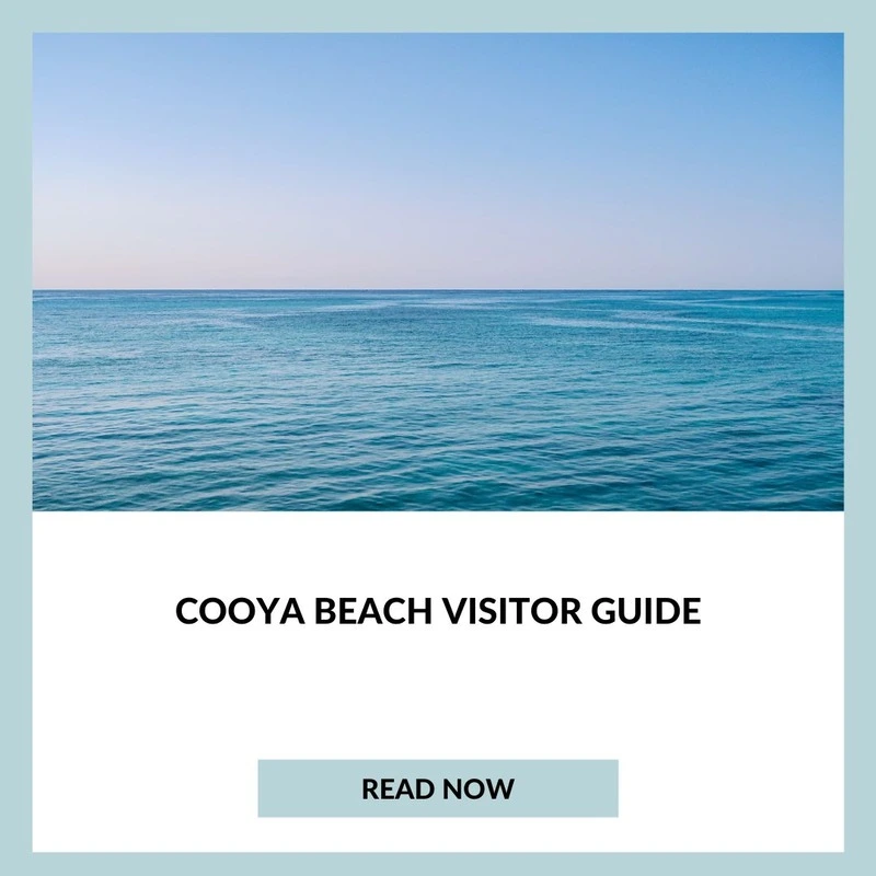 Cooya Beach Visitor Guide