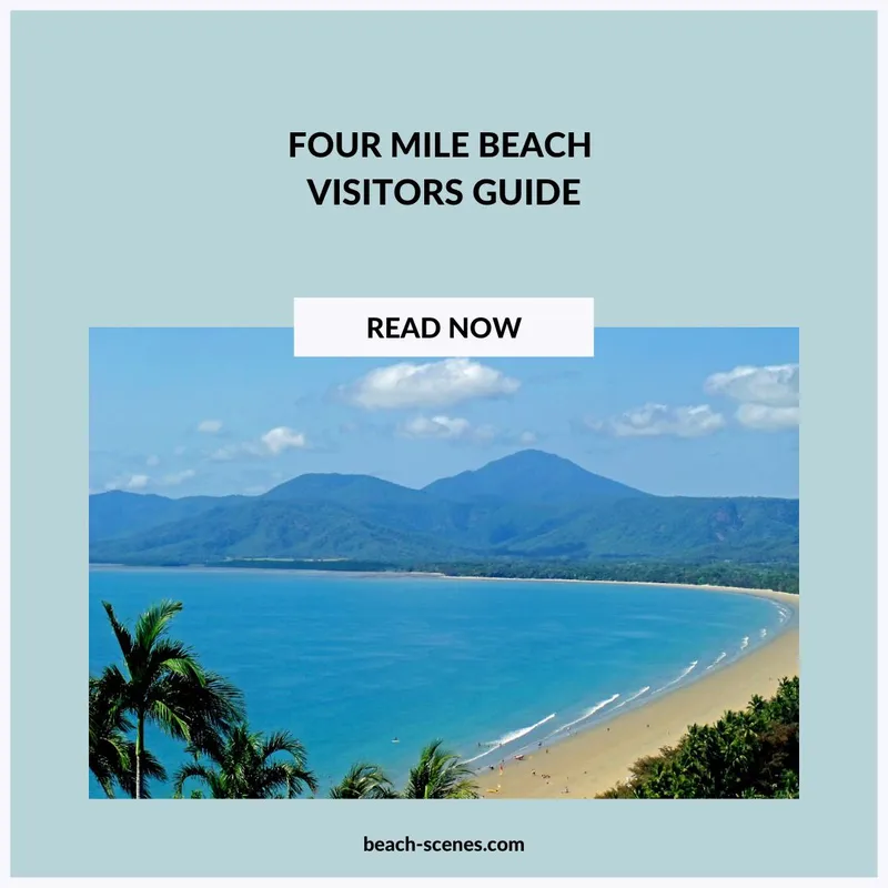 Four Mile Beach Visitor Guide