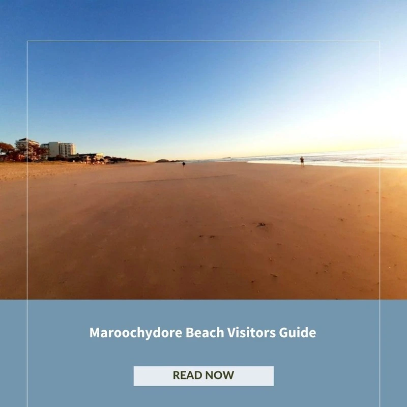 Maroochydore Beach Visitor Guide
