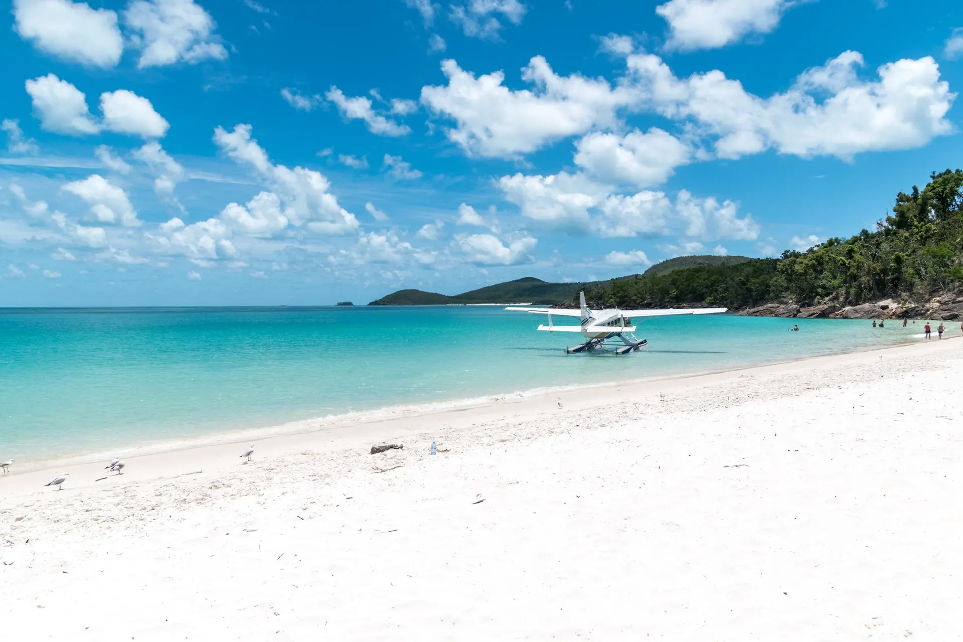 Seaplane at Hamilton Island Beach in the Whitsunday Islands in Queensland, Australia