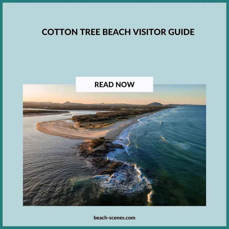 Cotton Tree Beach Visitors Guide