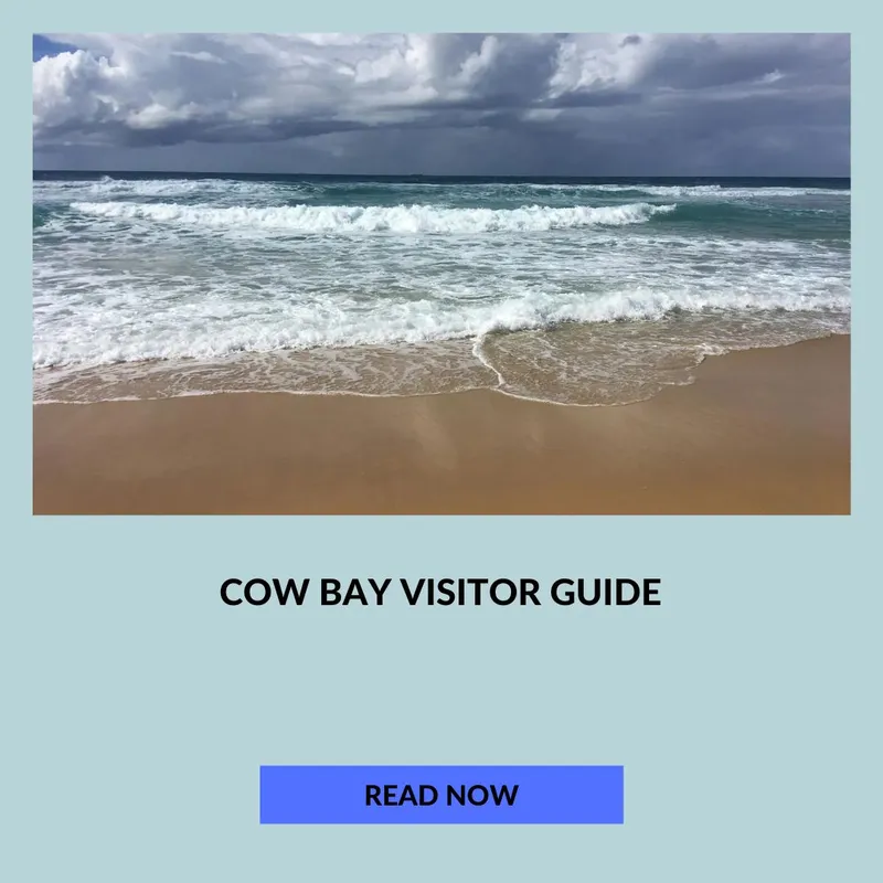 Cow Bay Visitor Guide for this Tropical North Queensland Beach in Australia