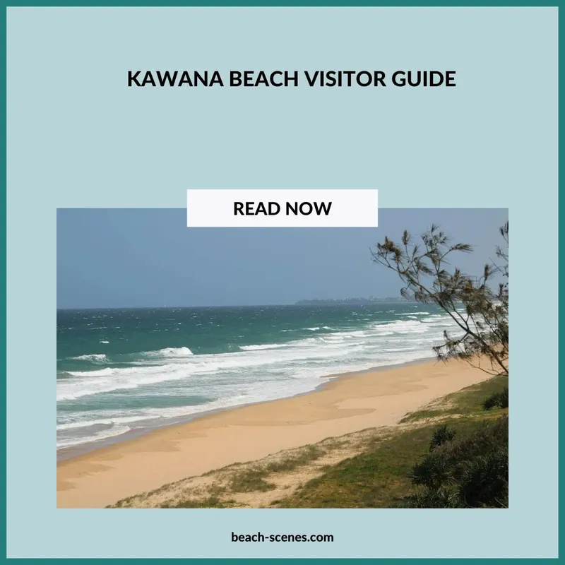 Kawana Beach Visitor Guide