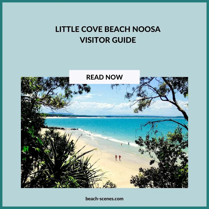 Little Cove Noosa Beach is the perfect spot to relax on the Sunshine Coast in Queensland