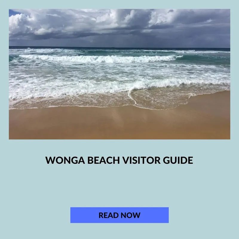 Wonga Beach Visitor Guide Tropical North Queensland