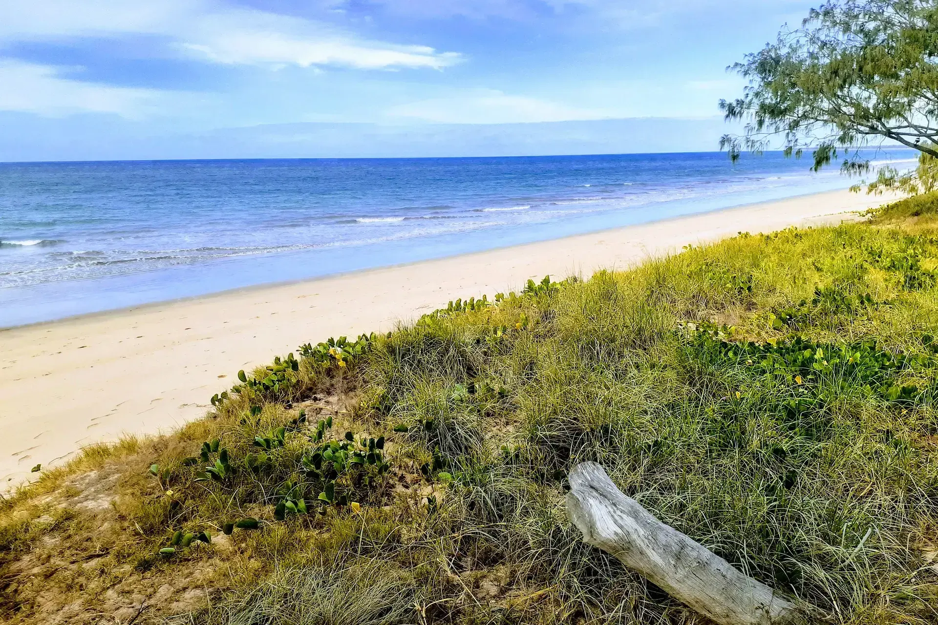 Woodgate Beach Header Image