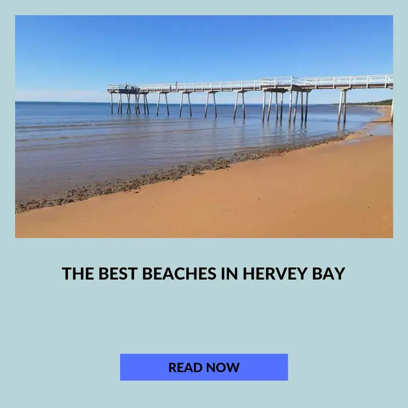 Best Beaches in Hervey Bay to visit