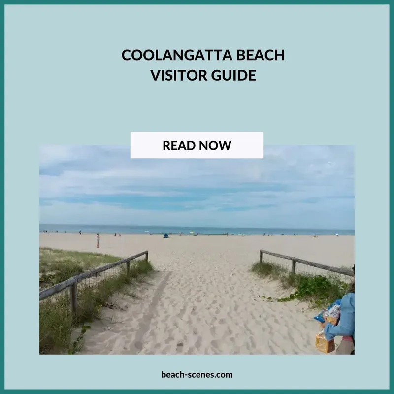 Coolangatta Beach Gold Coast Intro Image