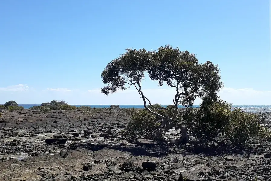 Hervey Bay Fraser Coast Queensland