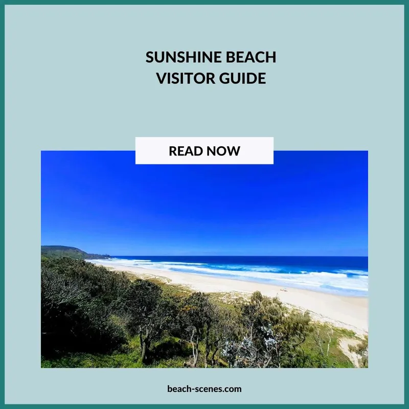 Sunshine Beach Visitor Guide