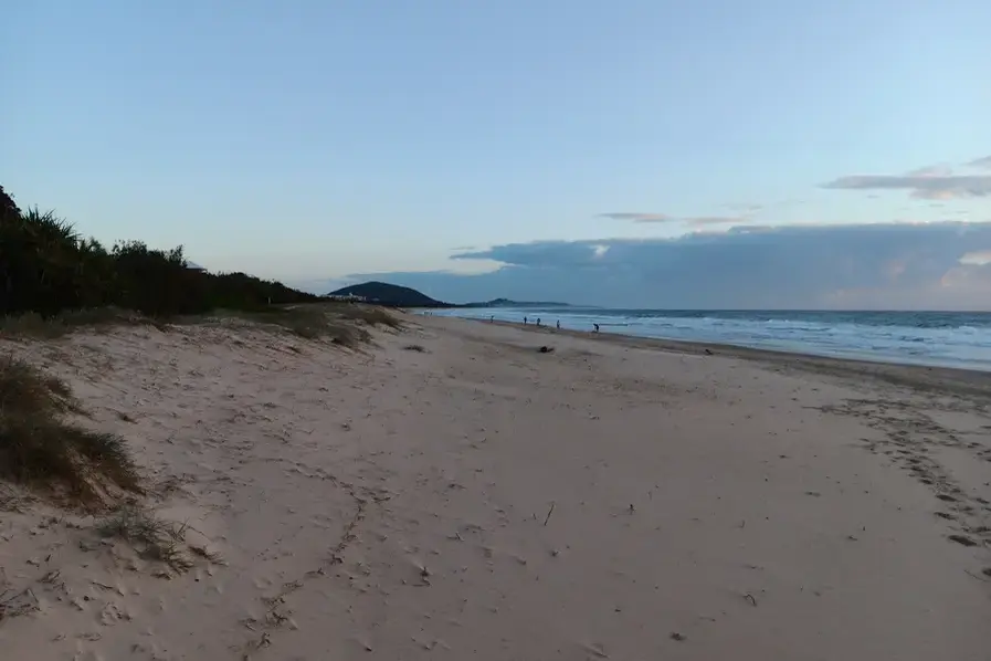 View of the sand and Coral Sea at Mudjimba Beach Sunshine Coast Queensland