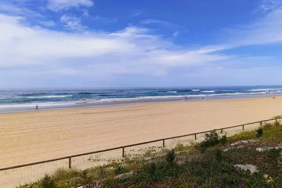 Sand and ocean view at Surfers Paradise Gold Coast Qld