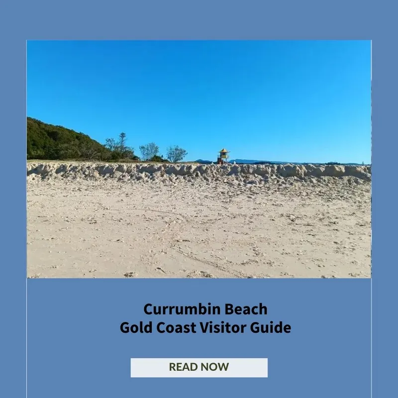 Currumbin Beach Gold Coast Visitor Guide