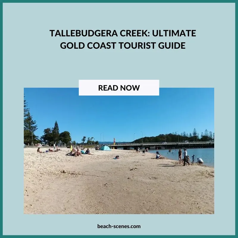 Tallebudgera Creek Introductory Image