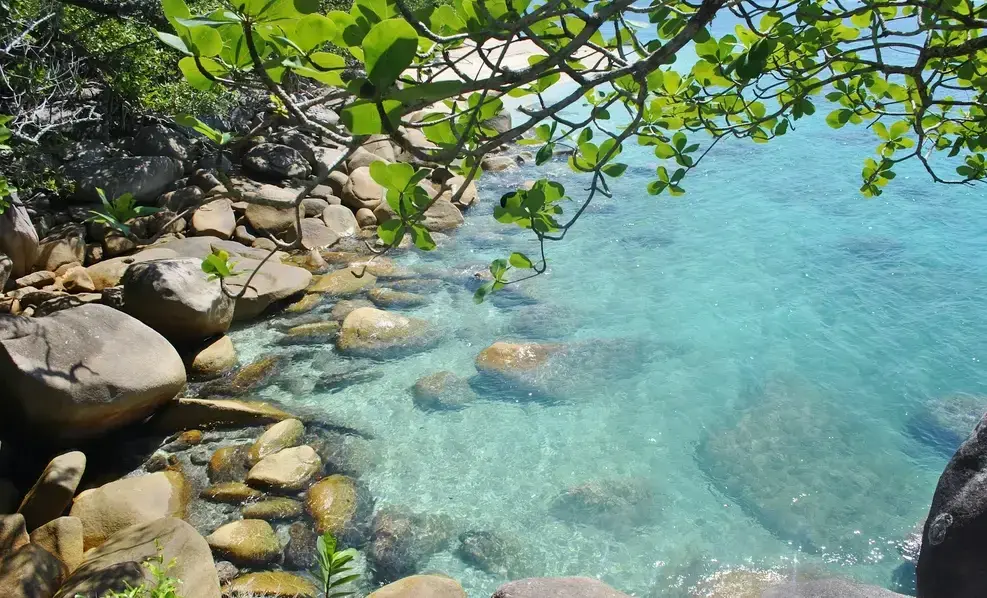 View of rocks and water at Fitzroy Island Queensland Australia