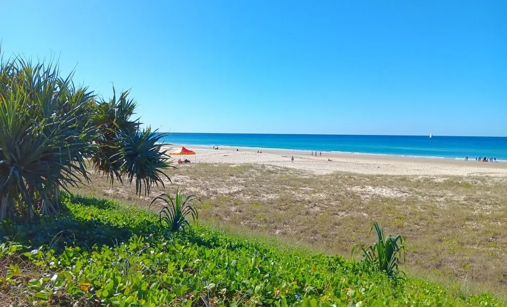 Nature at Miami Beach Gold Coast Queensland Australia