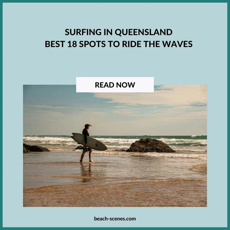 Surfing in Queensland Header Image