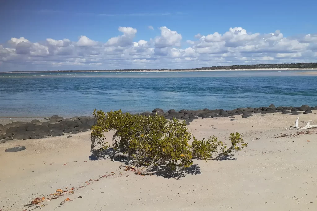 A scenic view of Elliott Heads Beach, showcasing golden sands, greenery, and gentle waves under a clear blue sky.