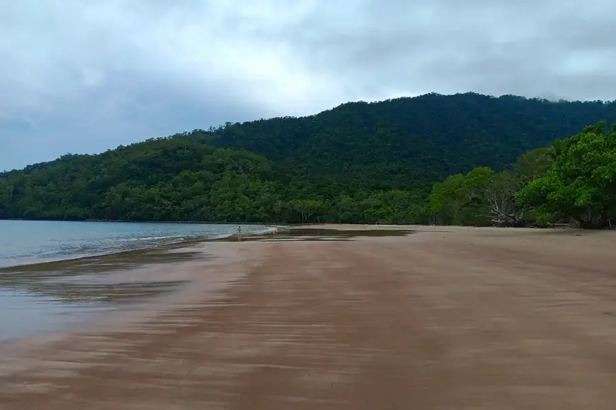 View of the headland at one end of Cow Bay Beach in the Daintree National Park