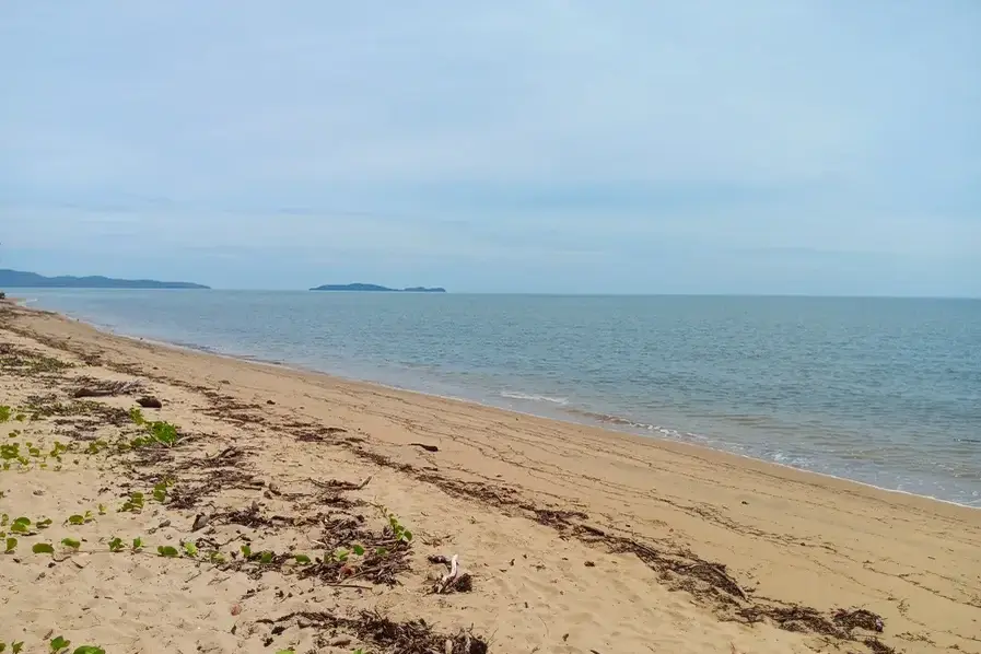 View of the Ocean at Wonga Beach on the Marlin Coast in Tropical North Queensland