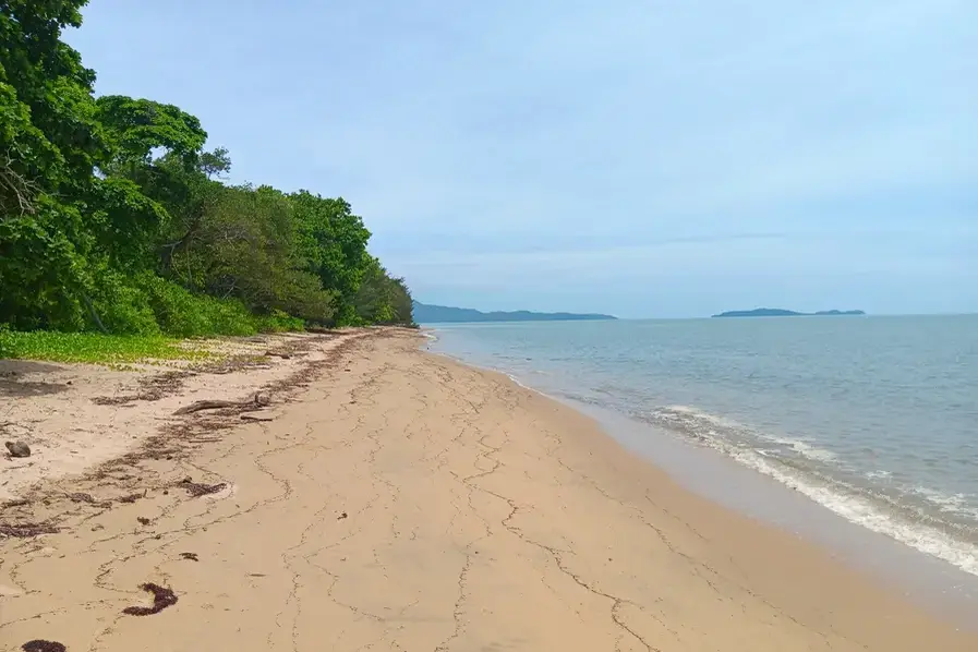 Wonga Beach on the Marlin Coast in Tropical North Queensland