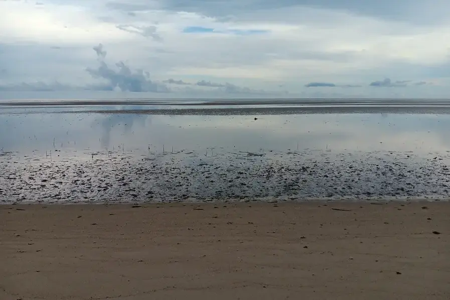 View of the water at Cooya Beach in Tropical North Queensland