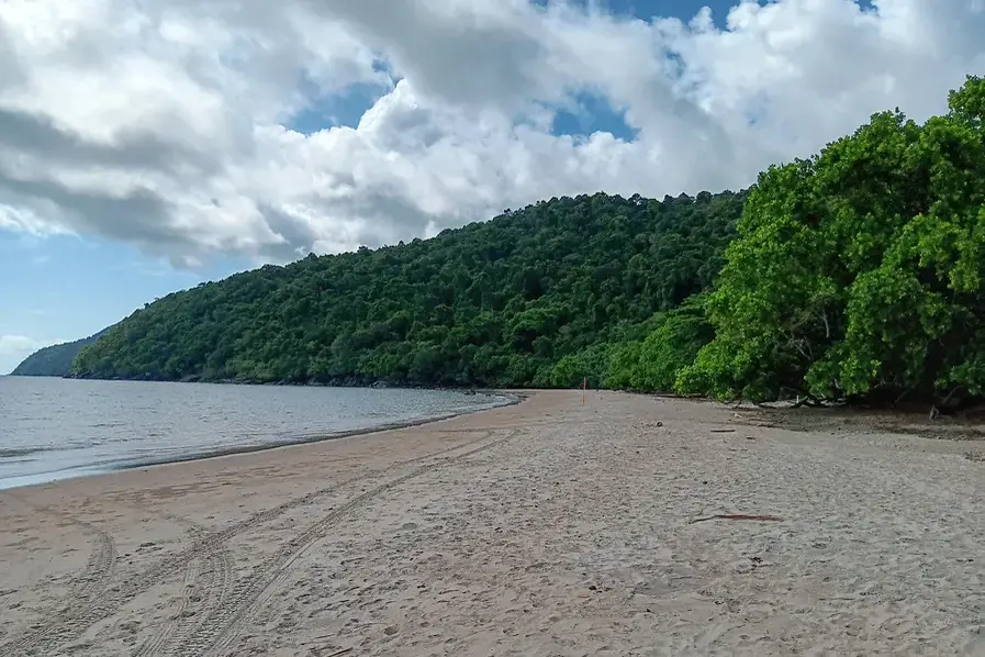 View of the headland at Etty Bay in Tropical North Queensland