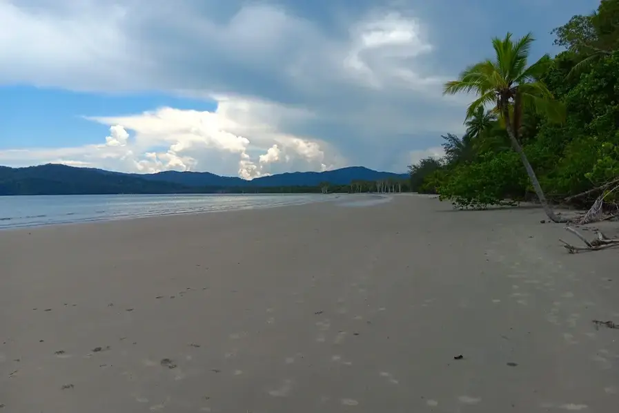 Full Length View of Thornton Beach Tropical North Queensland