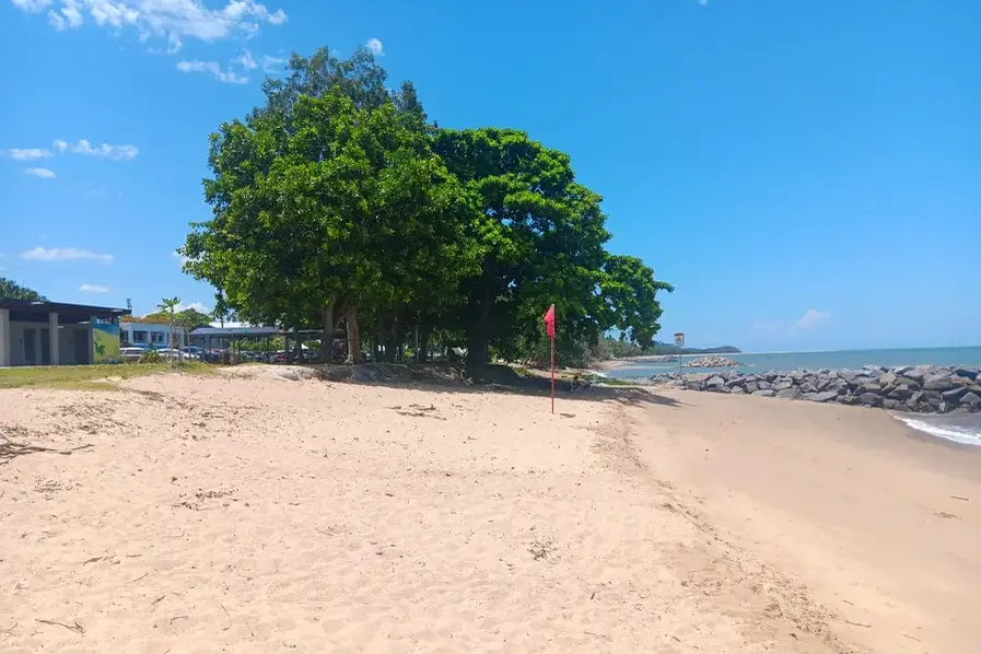 View of a tree at one end of Holloways Beach in Tropical North Queensland