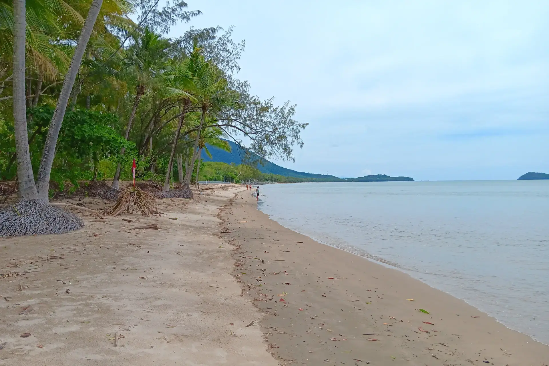 Full length view of Kewarra Beach in Tropical North Queensland