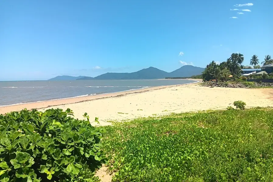 Lovely coastal seen of the sand, foliage and distant headlands at Machans Beach in Tropical North Queensland