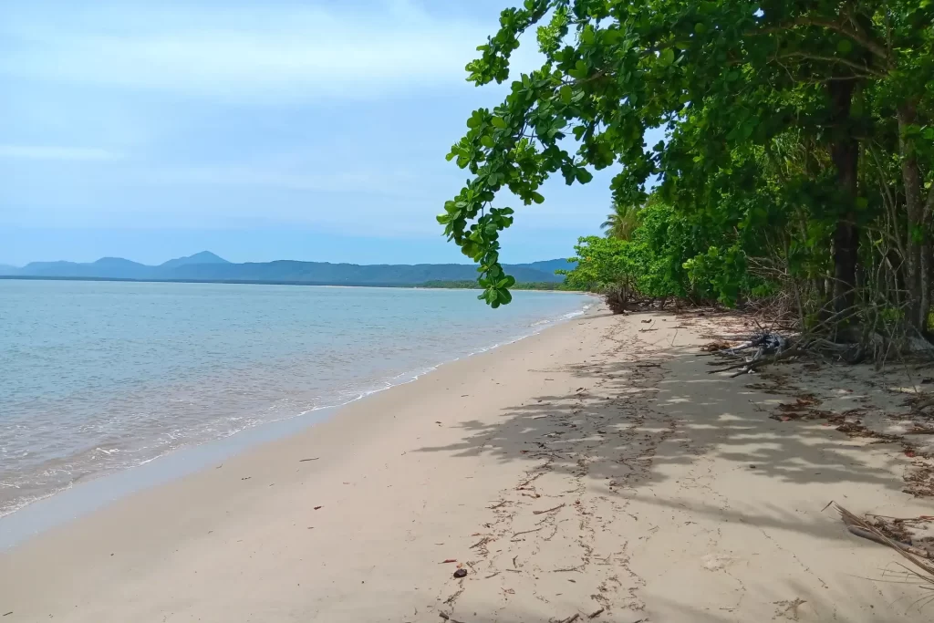 Gorgeous day at Newell Beach in Tropical North Queensland in Australia