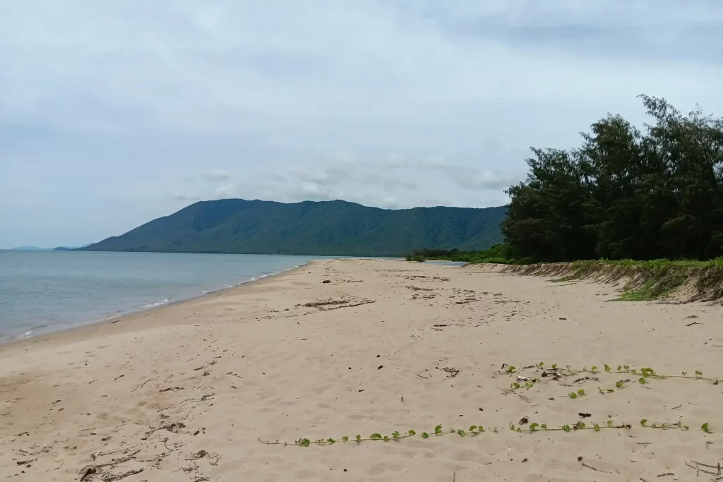 View of the headland overlooking Wangetti Beach in Tropical North Queensland