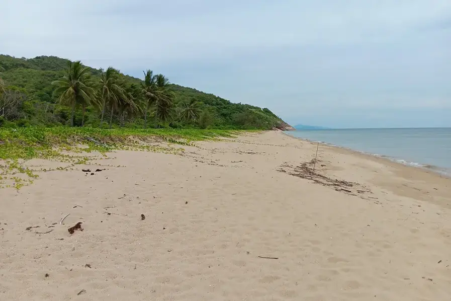 Extended view of the sand at Wangetti Beach in Tropical North Queensland, Australia