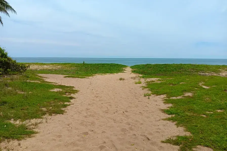 Entrance to Wangetti Beach near Cairns in Tropical North Queensland