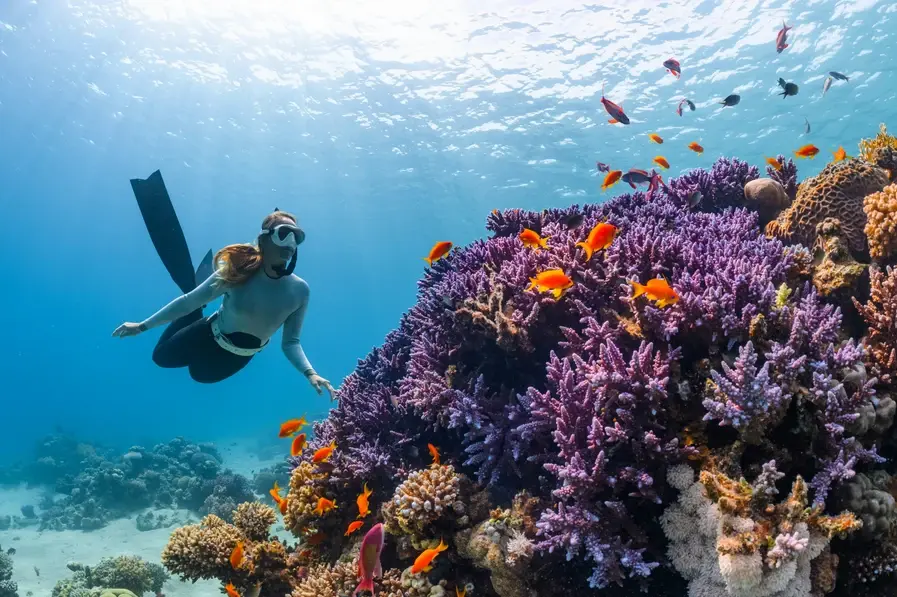 Woman Snorkelling at the Great Barrier Reef in Tropical North Queensland