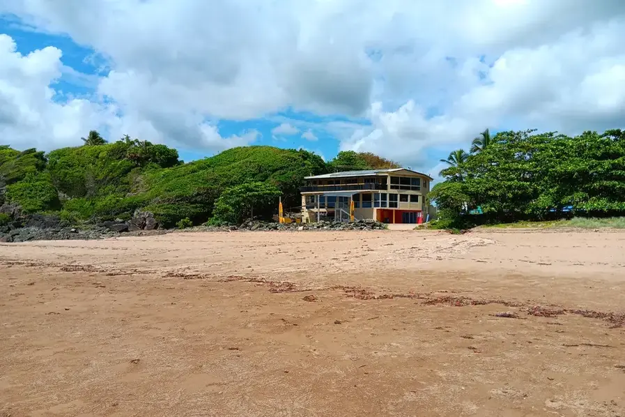 View of the Surf Club and surrounding trees at Sarina Beach in Queensland